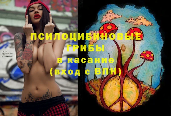 дурь Балахна